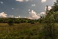 2015_08_12 (0010)